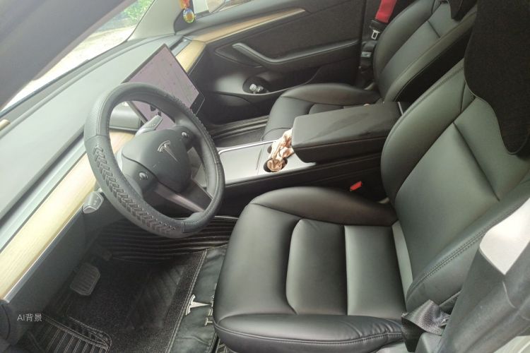 Tesla Model 3 2021 #17 Tesla Model 3 2021 car image #17