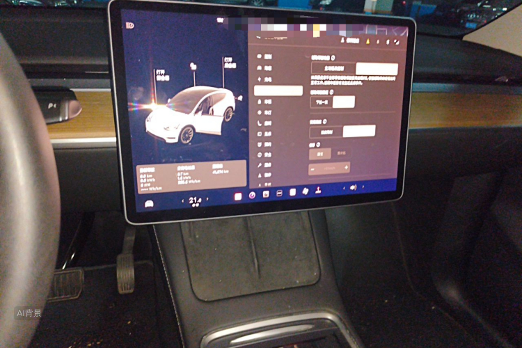 Tesla Model Y 2021 car image #15