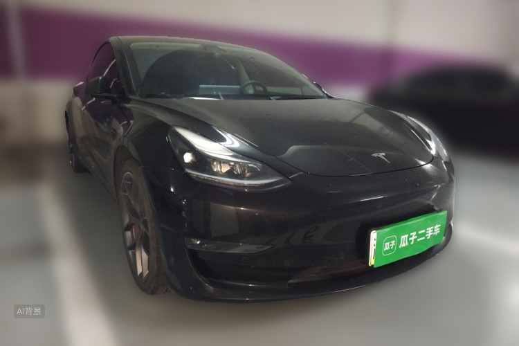 Tesla Model 3 2021 изображение автомобиля #4