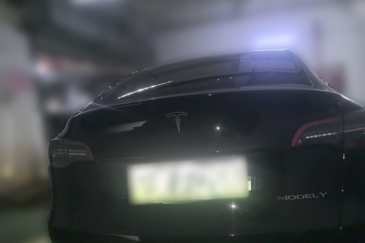 Tesla Model Y 2022 car image #4