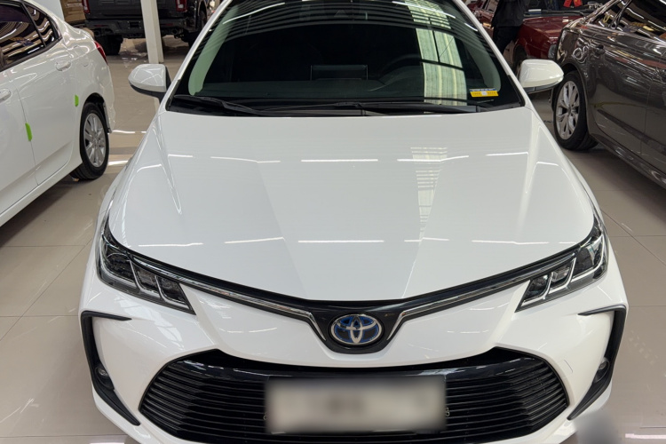 Toyota Corolla 2022 car image #6