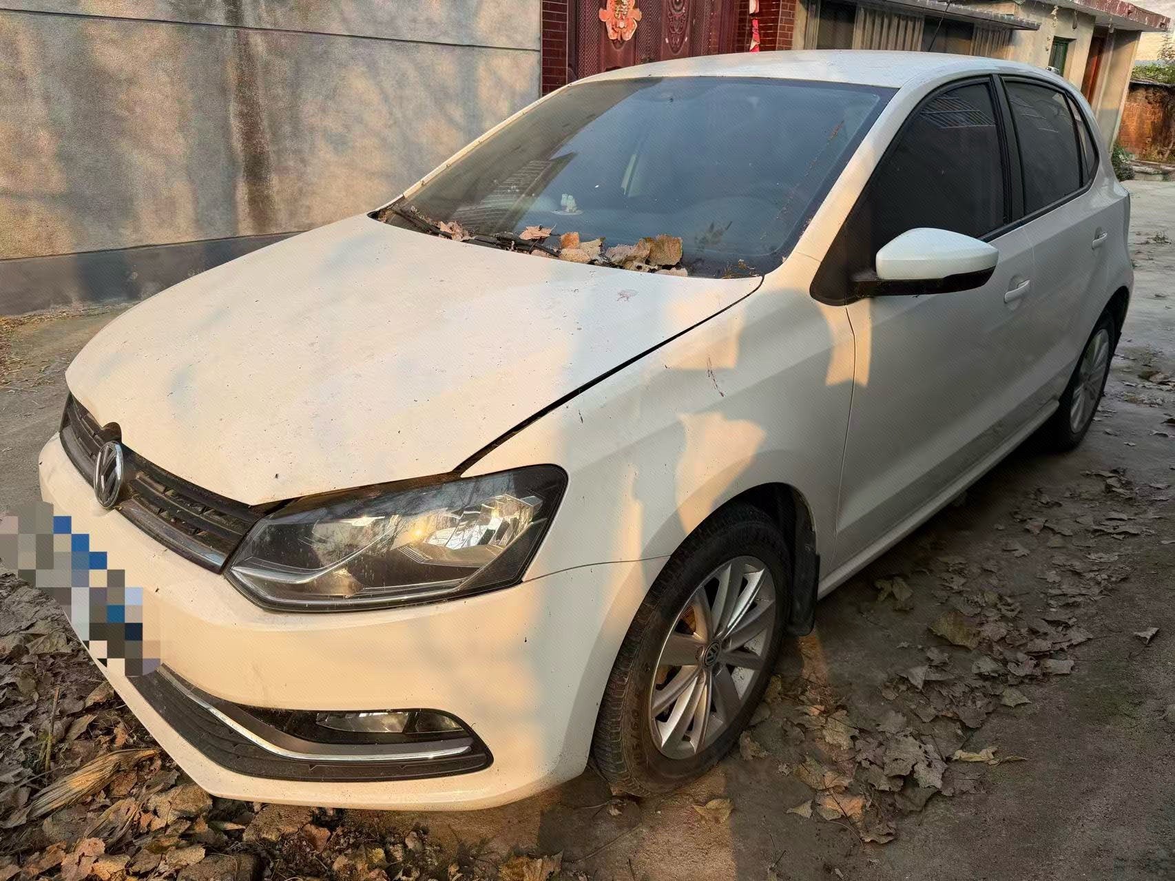 Volkswagen Polo 2014 immagine di auto 