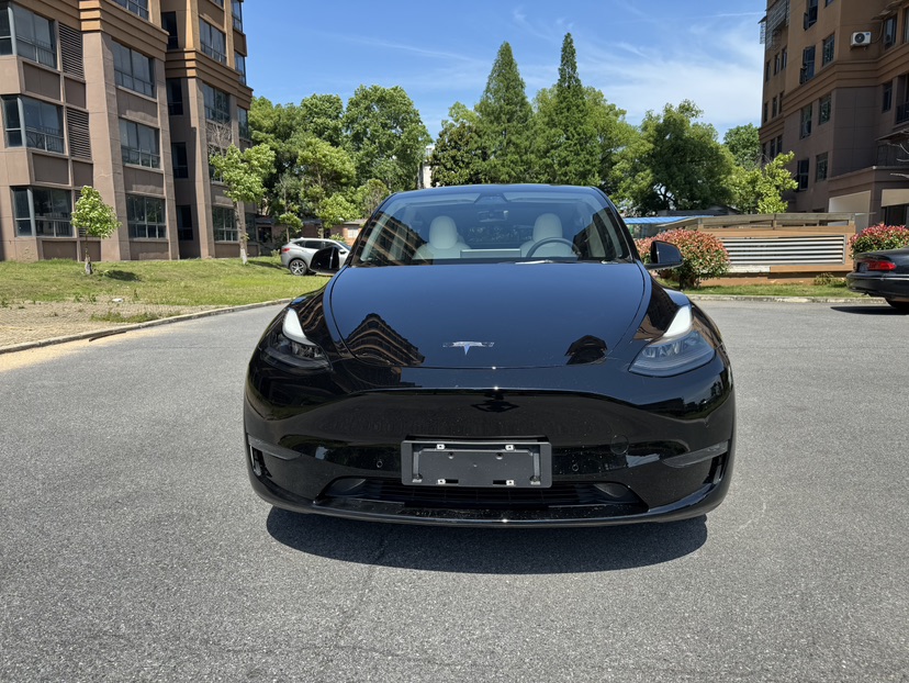 Tesla Model Y 2021 car image #2