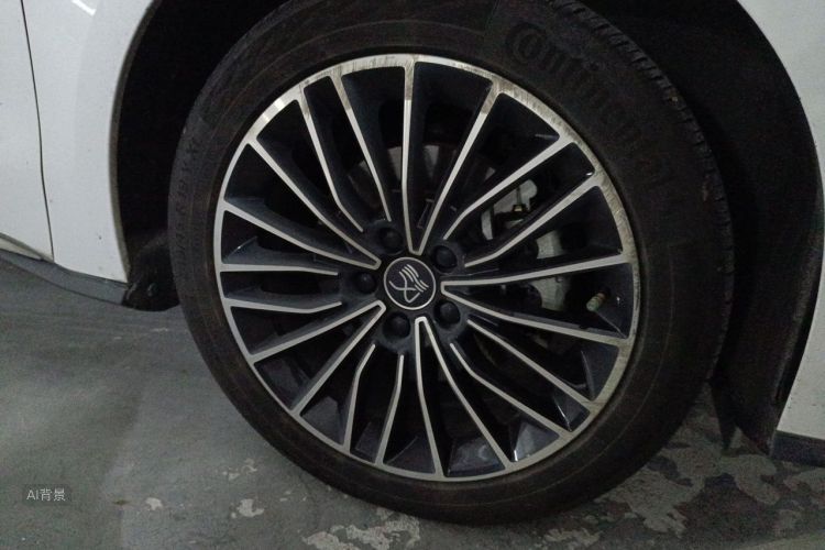 BYD Han 2021 #9 BYD Han 2021 immagine di auto #9