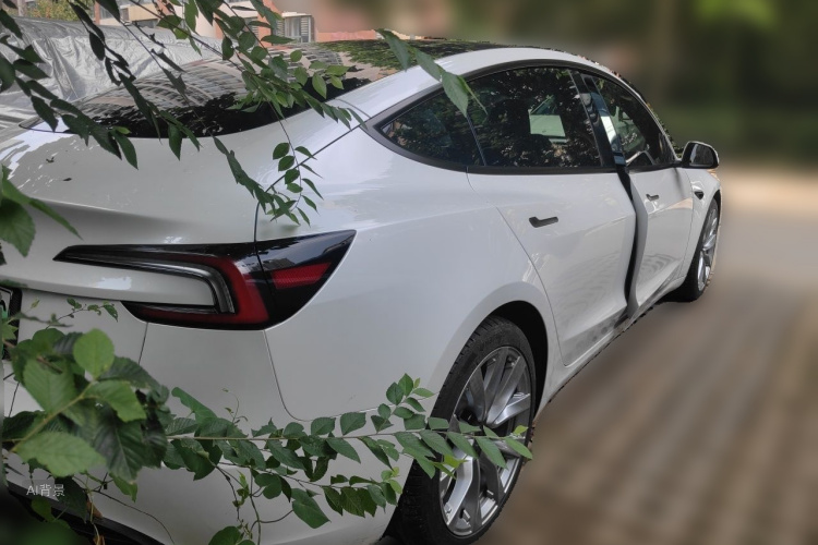 Tesla Model 3 2024 car image #7