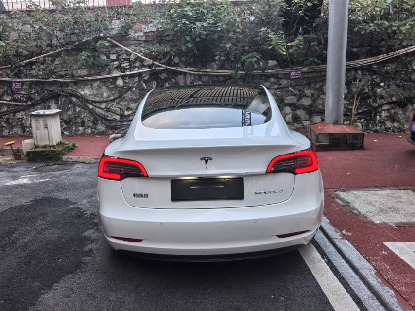 Tesla Model 3 2020 #4 Tesla Model 3 2020 car image #4