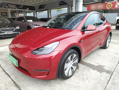 Tesla Model Y 2021 car image 