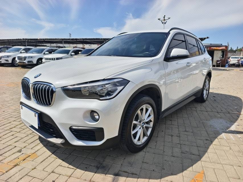 BMW X1 2019 BMW X1 2019 car image