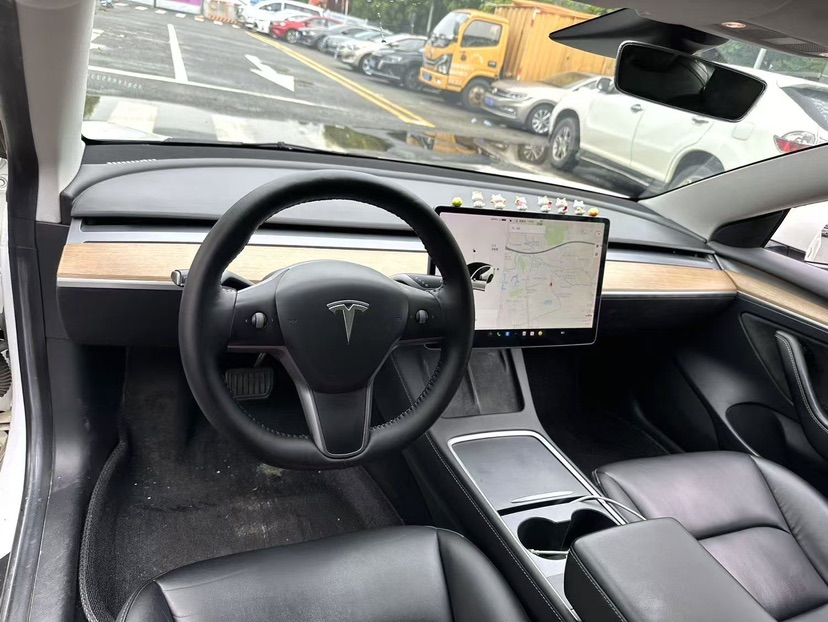 Tesla Model 3 2021 car image #3