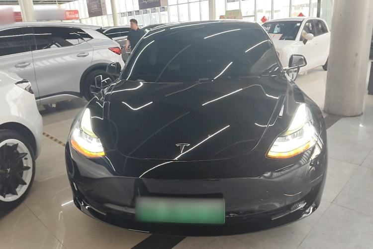 Tesla Model 3 2021 car image #3