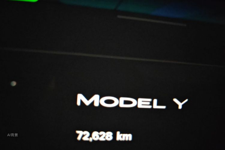 Tesla Model Y 2023 #14 Tesla Model Y 2023 صورة سيارة #14
