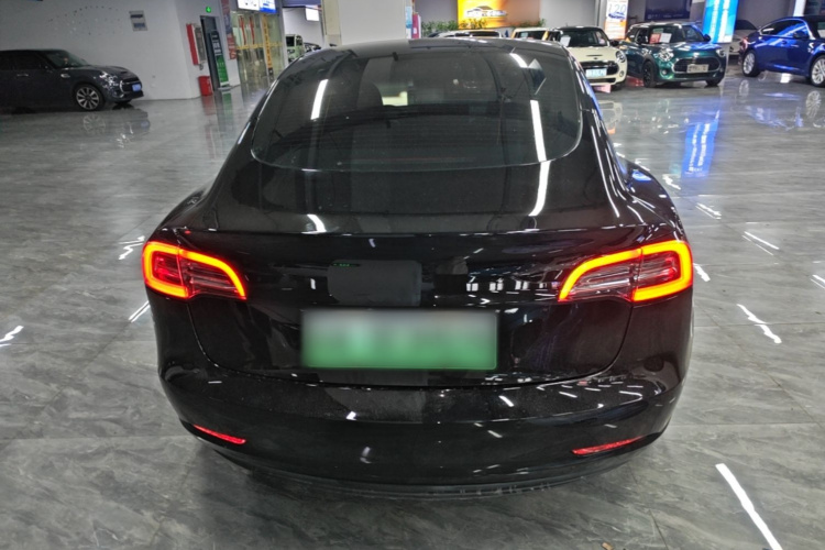 Tesla Model 3 2021 car image #6