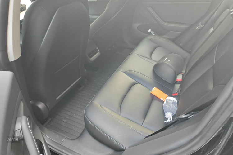 Tesla Model 3 2023 car image #19
