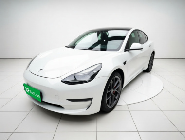 Tesla Model 3 2021 Tesla Model 3 2021 car image