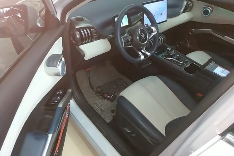 BYD Yuan Plus 2022 car image #12