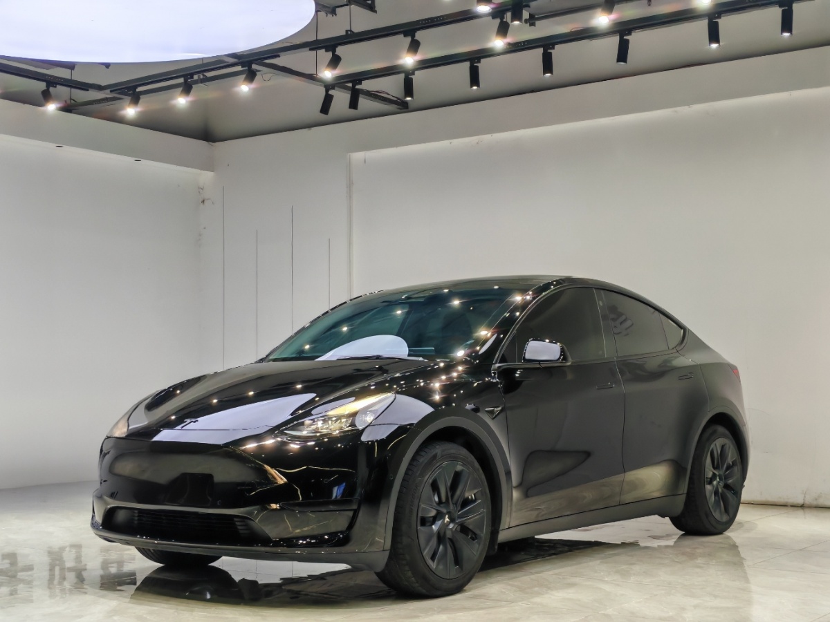 Tesla Model Y 2022 Tesla Model Y 2022 car image