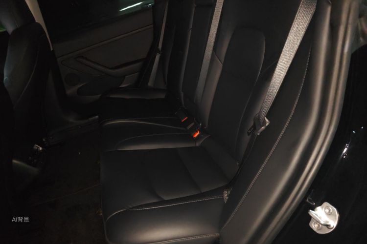 Tesla Model 3 2021 car image #19