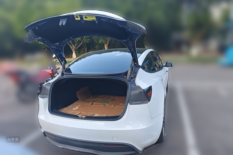 Tesla Model 3 2023 car image #21