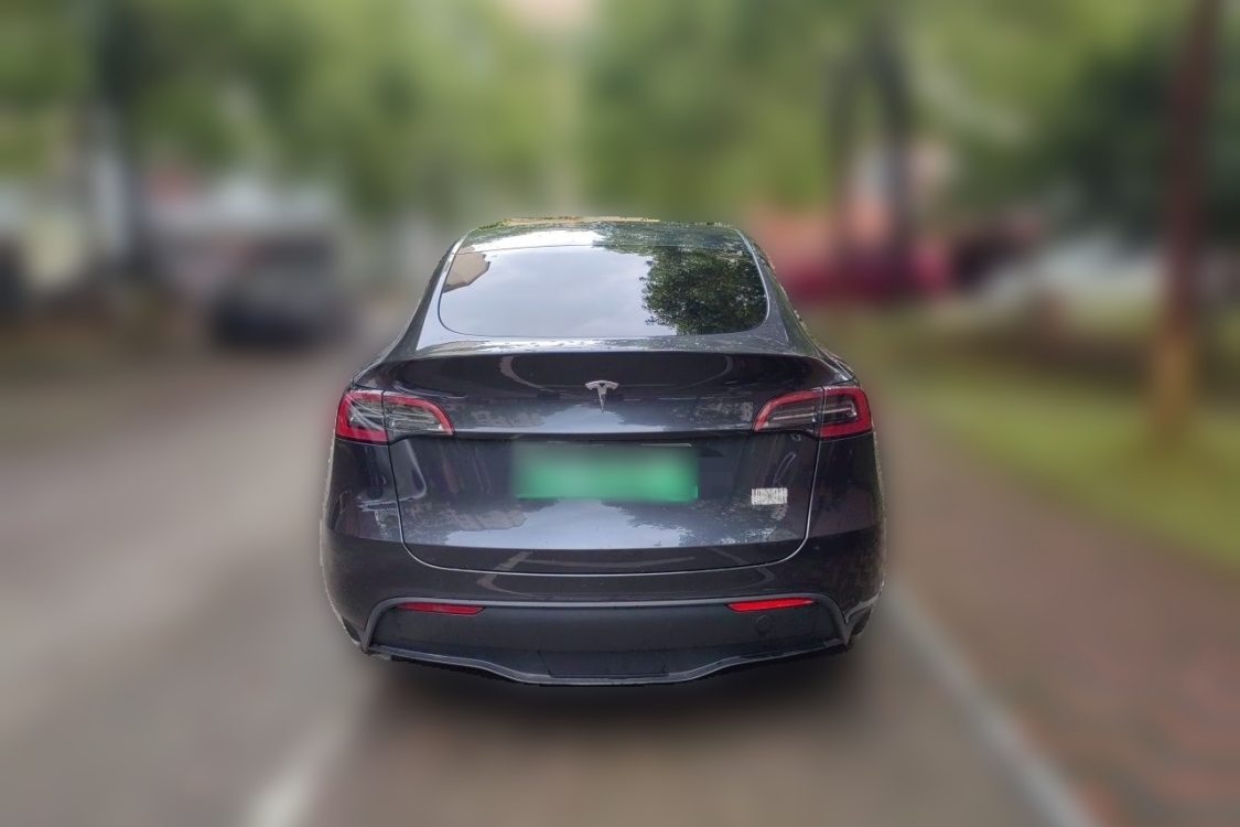 Tesla Model Y 2024 car image #6