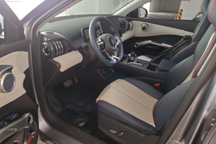 BYD Yuan Plus 2022 car image #18