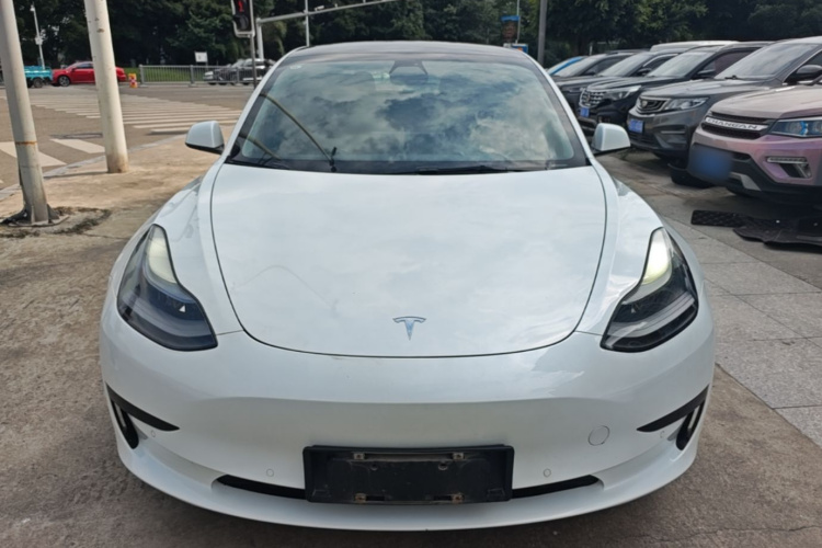 Tesla Model 3 2021 #3 Tesla Model 3 2021 car image #3