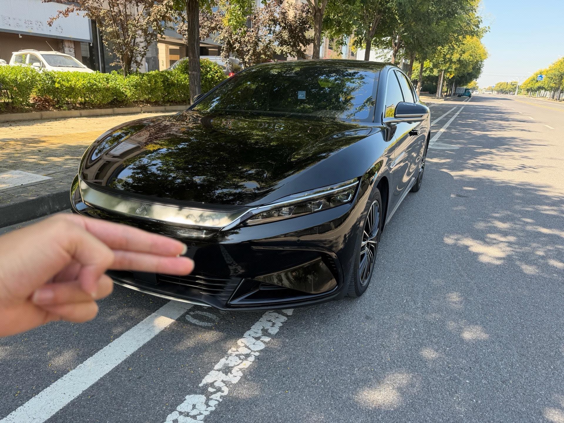 BYD Han 2024 car image 