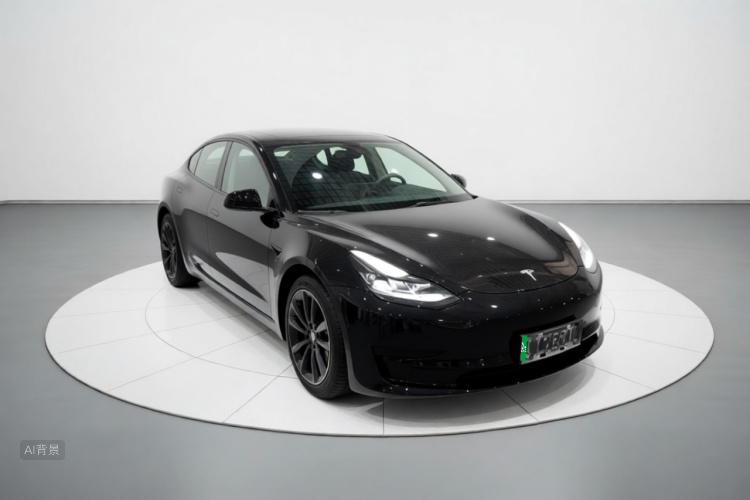 Tesla Model 3 2021 #4 Tesla Model 3 2021 car image #4