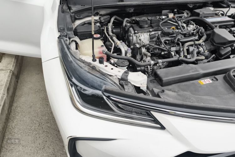 Toyota Corolla 2021 car image #8