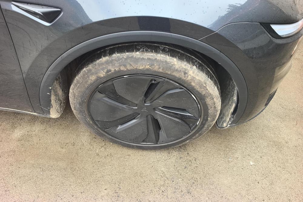Tesla Model Y 2025 car image #8