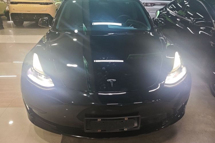 Tesla Model 3 2023 #3 Tesla Model 3 2023 car image #3