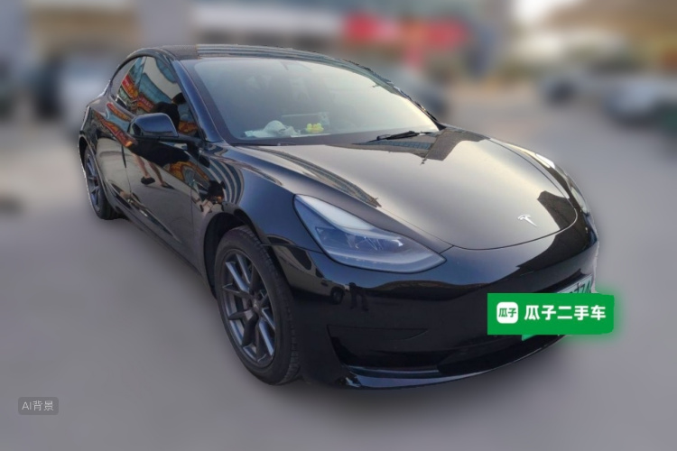 Tesla Model 3 2021 #4 Tesla Model 3 2021 car image #4