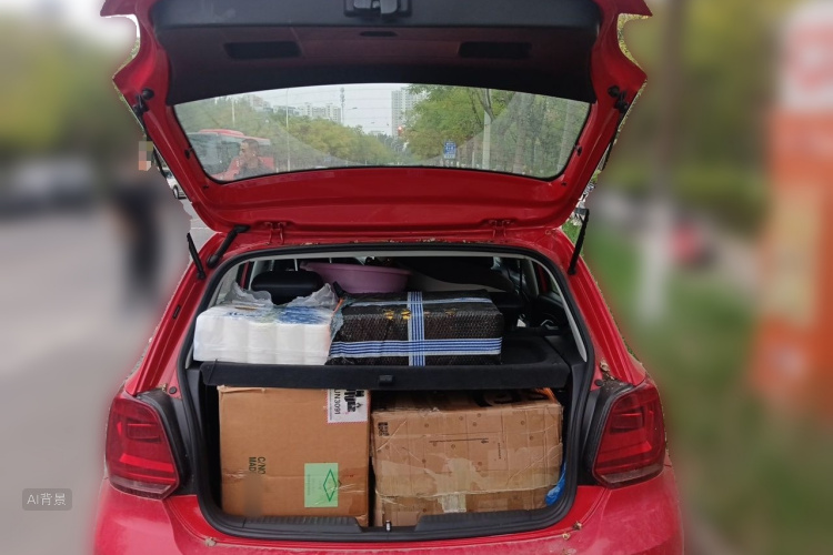 Volkswagen Polo 2017 car image #21