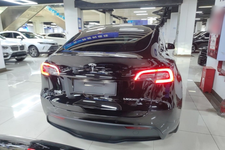 Tesla Model Y 2021 car image #6