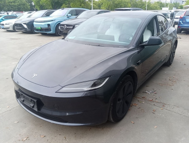 Tesla Model 3 2024 Tesla Model 3 2024 car image