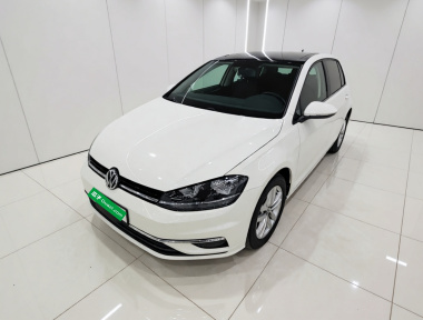 Volkswagen Golf 2019 car image 