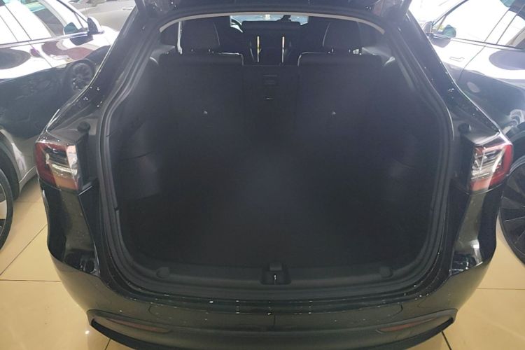 Tesla Model Y 2021 car image #21