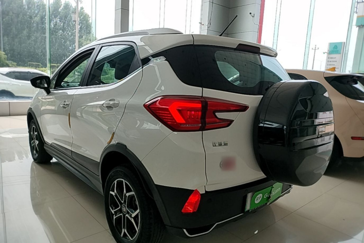 BYD Yuan Pro 2021 #5 BYD Yuan Pro 2021 immagine di auto #5