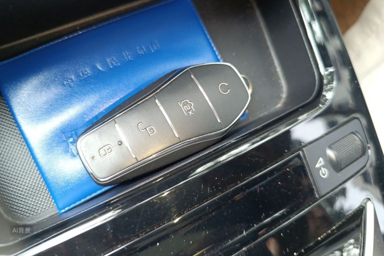 BYD Yuan Pro 2021 #10 BYD Yuan Pro 2021 car image #10