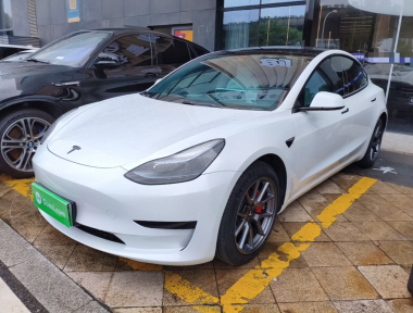 Tesla Model 3 2023 Tesla Model 3 2023 car image