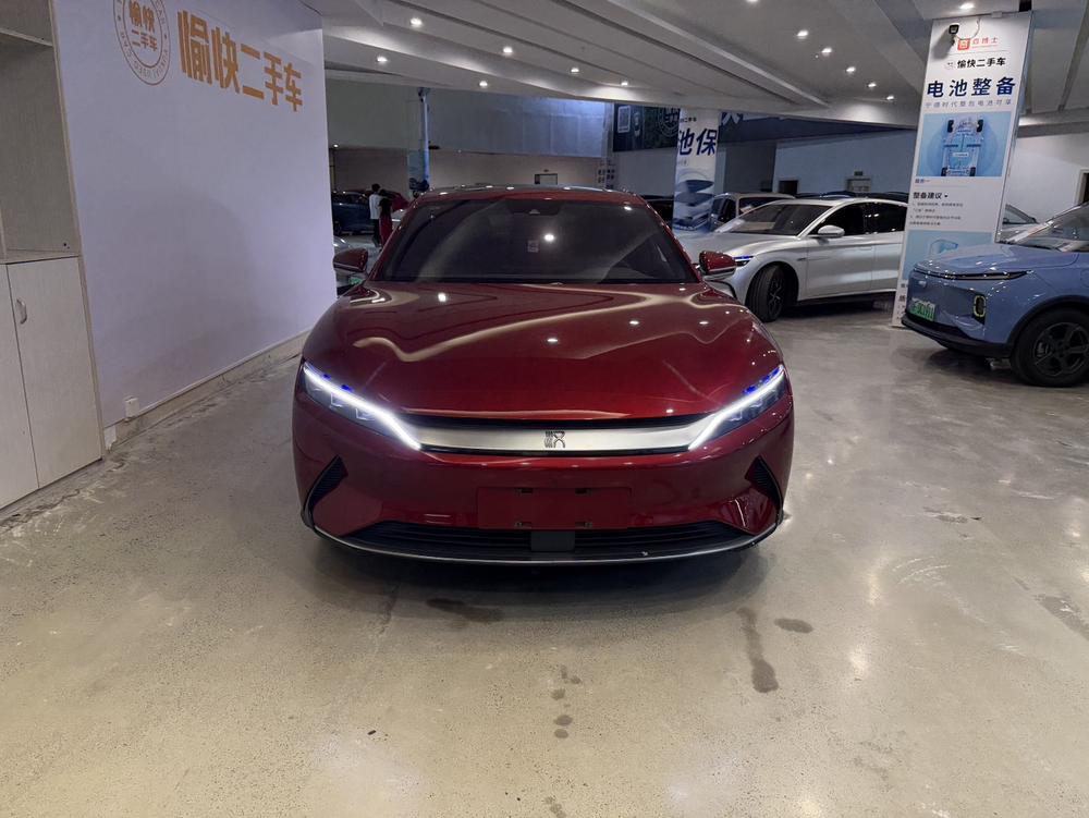 BYD Han 2021 immagine di auto #2