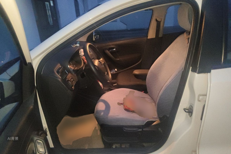Volkswagen Polo 2015 car image #18