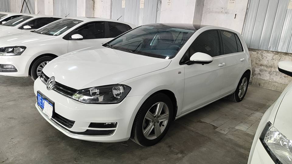Volkswagen Golf 2014 car image 
