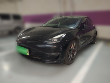 Tesla Model 3 2021 изображение автомобиля 
