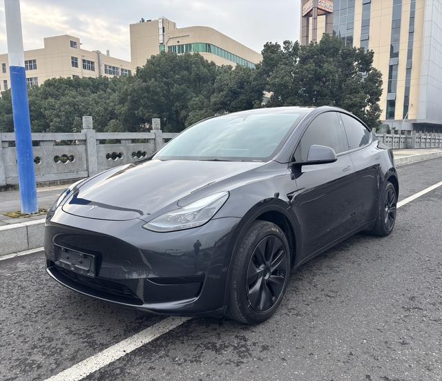 Tesla Model Y 2024 car image #11