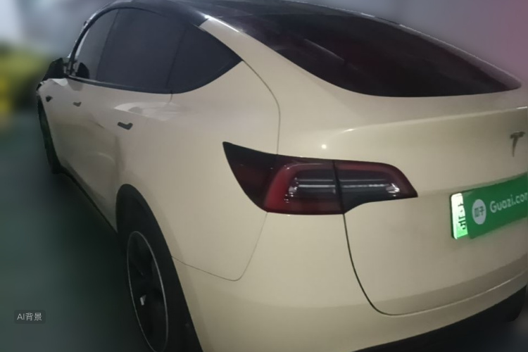 Tesla Model Y 2021 car image #5