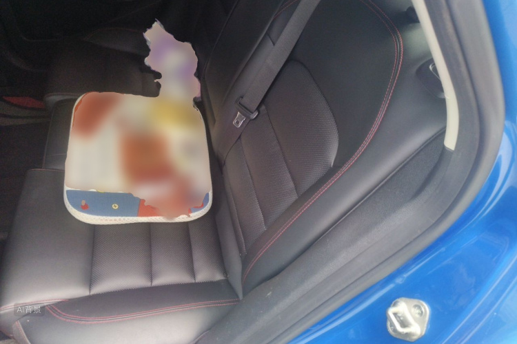 GEELY Binray 2019 #19 GEELY Binray 2019 car image #19