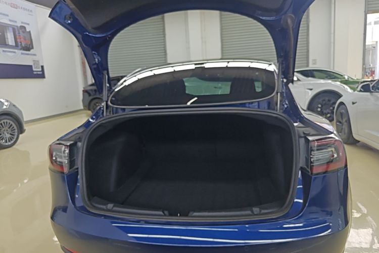 Tesla Model 3 2020 car image #19