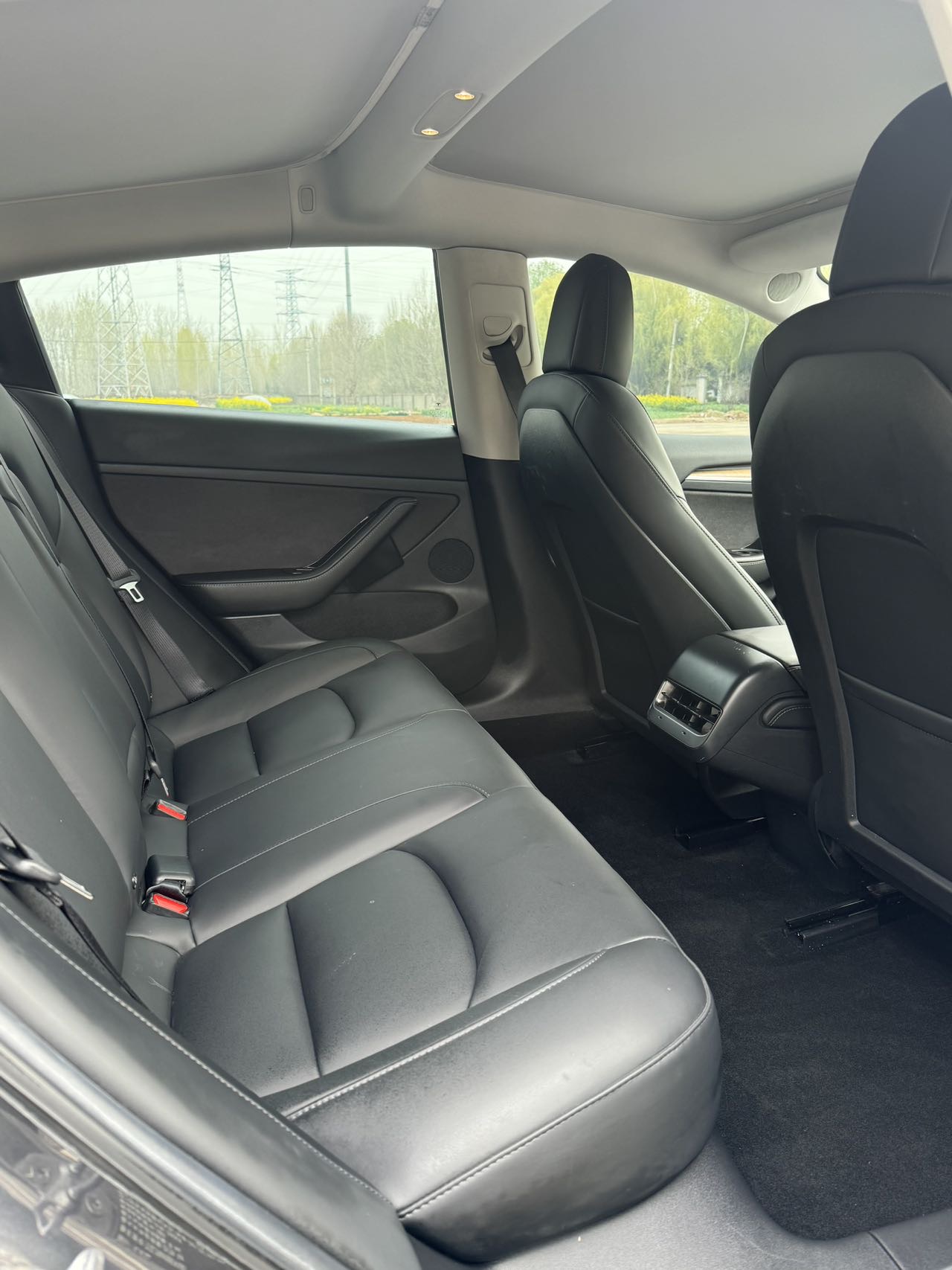 Tesla Model 3 2021 immagine di auto #11