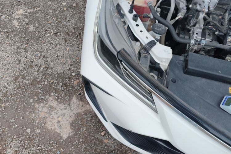 Toyota Corolla 2021 car image #8