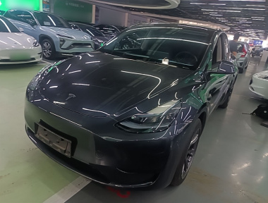 Tesla Model Y 2024 Tesla Model Y 2024 car image